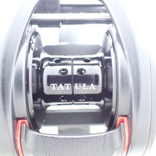 タトゥーラＴＷ１００ＳＨＬ